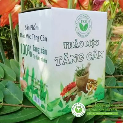 Thao Moc Tang Can Tran Kim Huyen